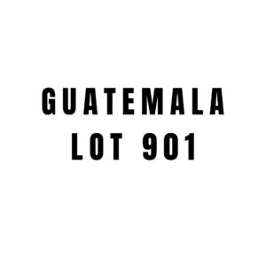 Guatemala Lot 901