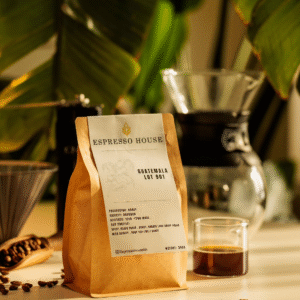 Guatemala Lot 901