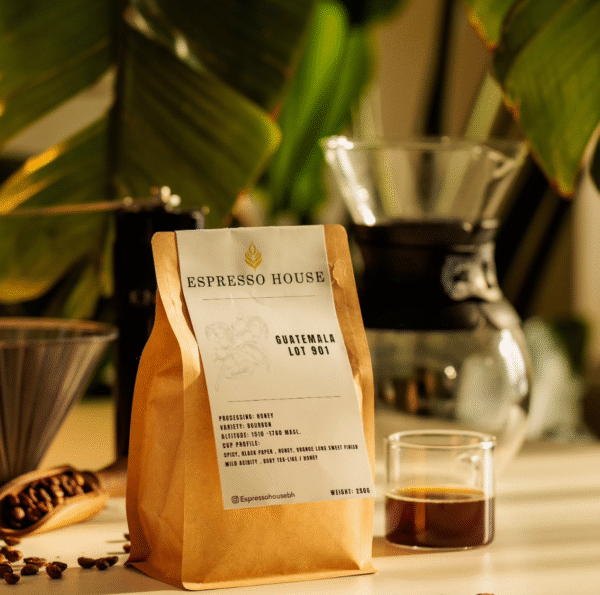 Guatemala Lot 901